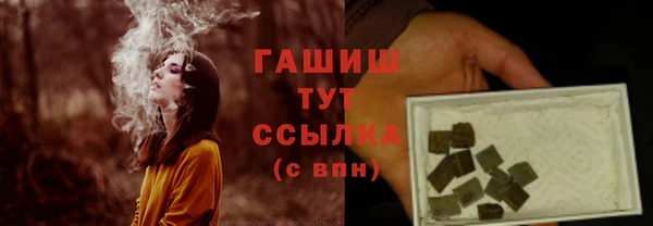 прущий лед Вяземский
