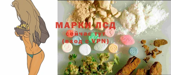 индика Вязники