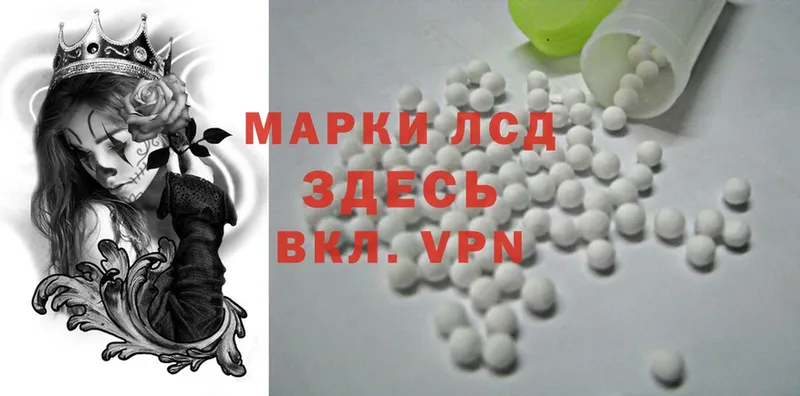 купить наркоту  Козловка  darknet как зайти  LSD-25 экстази ecstasy 